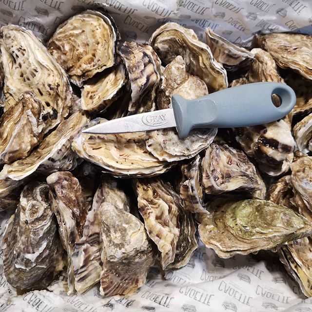 Gillardeau Oysters N°4