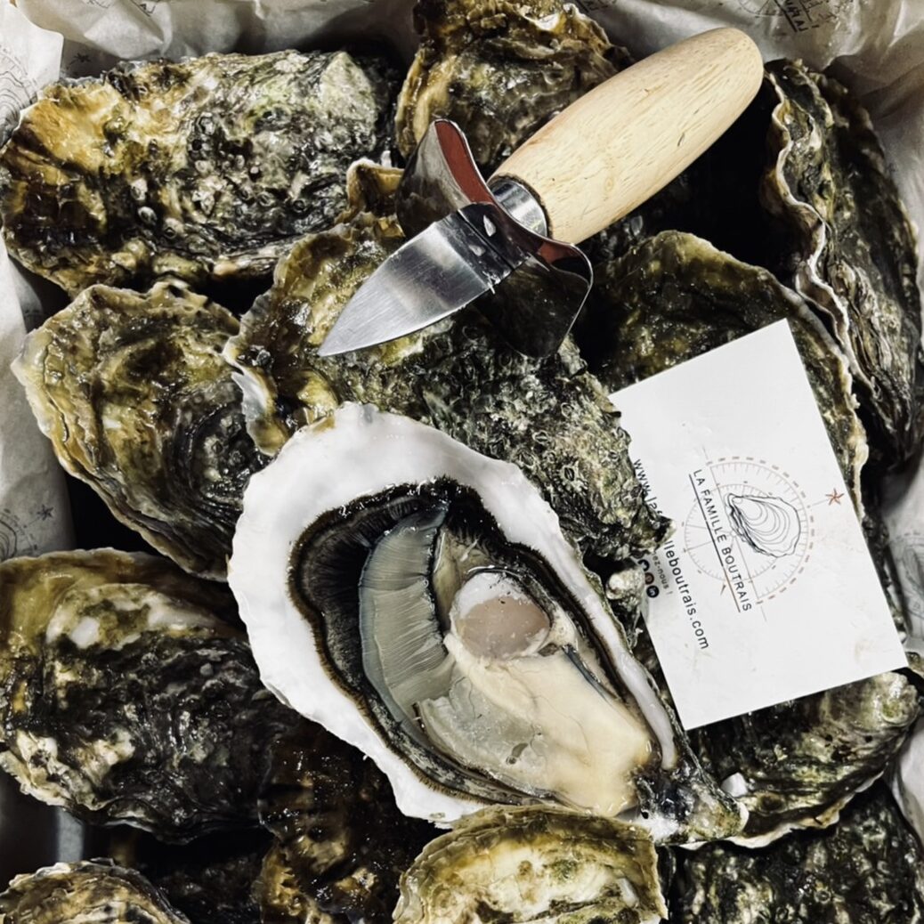 Oyster Ostra Regal N°1