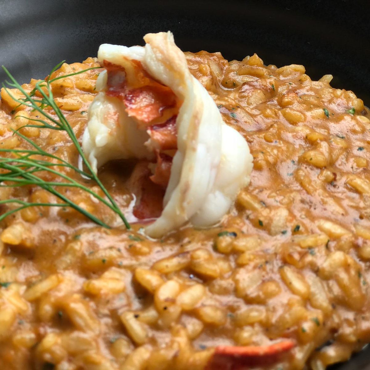 Half Lobster Risotto
