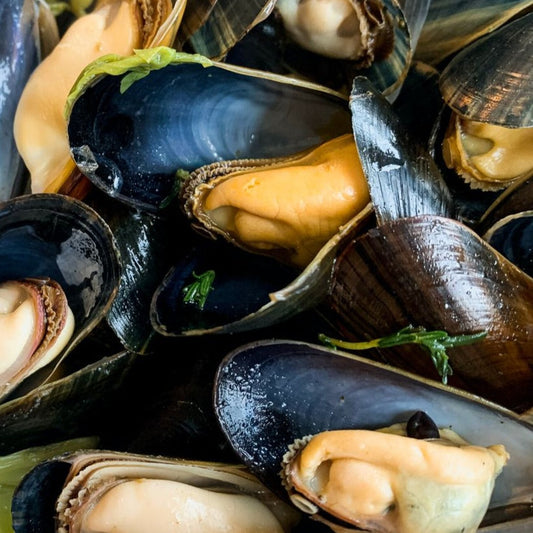 Danish Rope Mussels 1kg - PRE ORDER ONLY (Freshly Receive on Fridays)