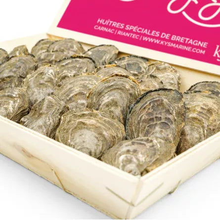 Oyster La Baby Kys No.5