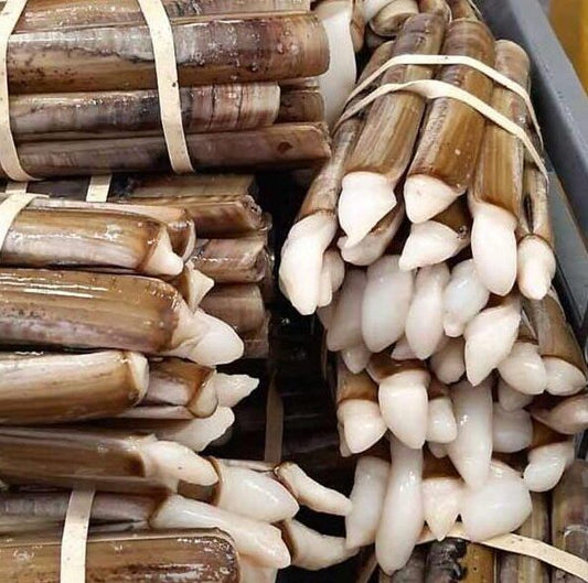 Dutch  Razor Clams - 400g