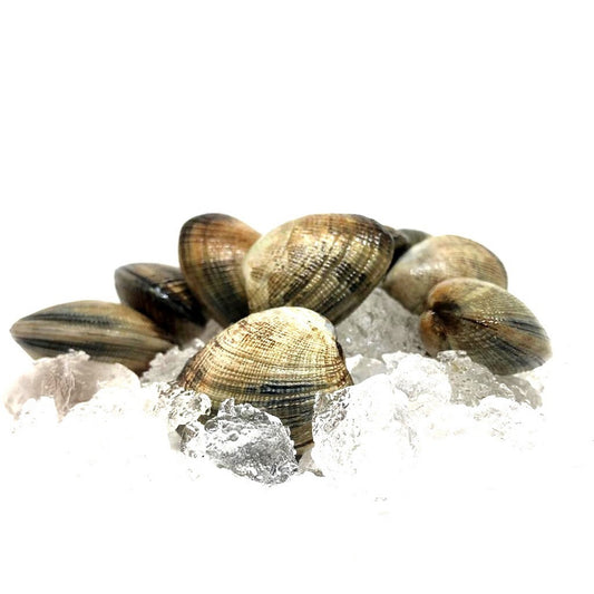 Manilla Clams Large size - 400