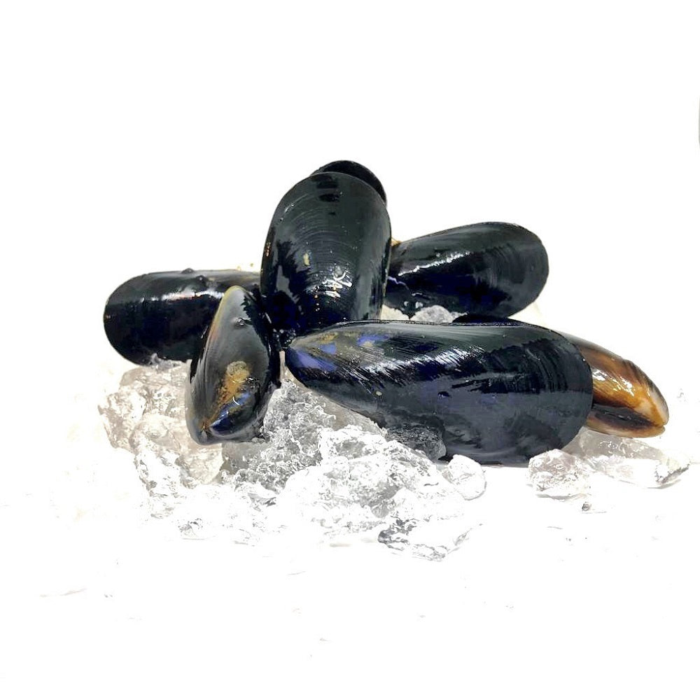 Bouchot Mussels 400g
