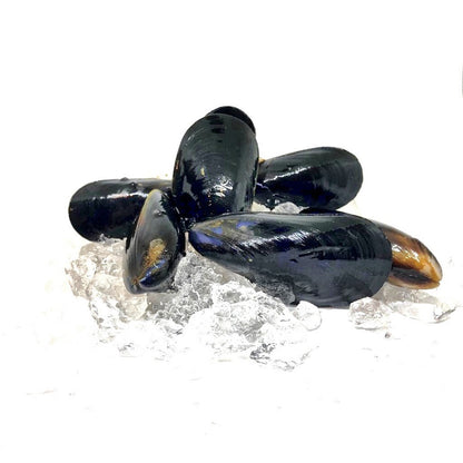 Bouchot Mussels 400g